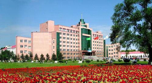 佳木斯大学爆料事件视频,视频揭露惊人真相 第3张 佳木斯大学爆料事件视频,视频揭露惊人真相 第3张