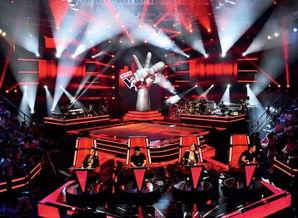 中国好声音员工爆料视频,幕后真相与精彩瞬间